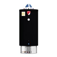 Газовый водонагреватель Federica Bugatti INOX WH 200 накопительный напольный